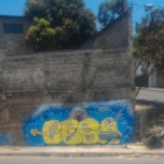 Grafite na BR-020, bairro Novo Aarão Reis, zona norte de BH. Foto de Carlos Atleticano enviada em 31.10.2017.