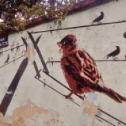 Grafite na rua Teixeira de Freitas, no bairro Santo Antônio. Fotografado por CMC em 19.6.2014.