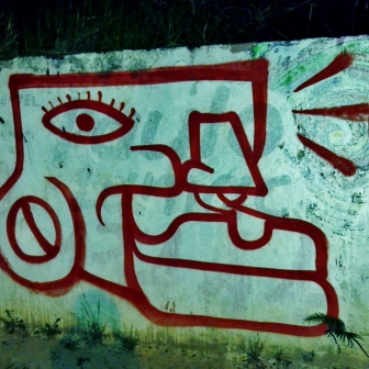 Grafite na av. Bandeirantes. Foto: CMC, em 10.12.2014